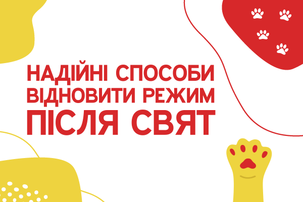 Новогодние праздники – это огромный стресс для нашего организма. Здесь всегда большое количество тяжелой калорийной пищи, алкогольных напитков и, конечно же, посиделок с душевными застольными беседами до утра.